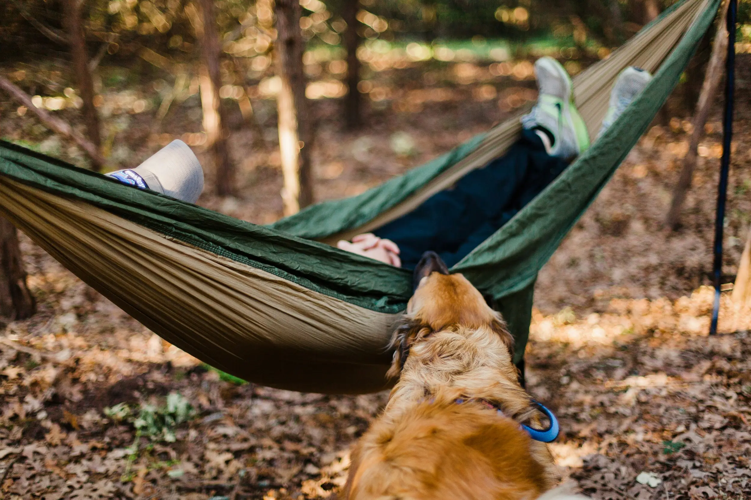 Best Hammock Underquilt: Stay Warm and Cozy