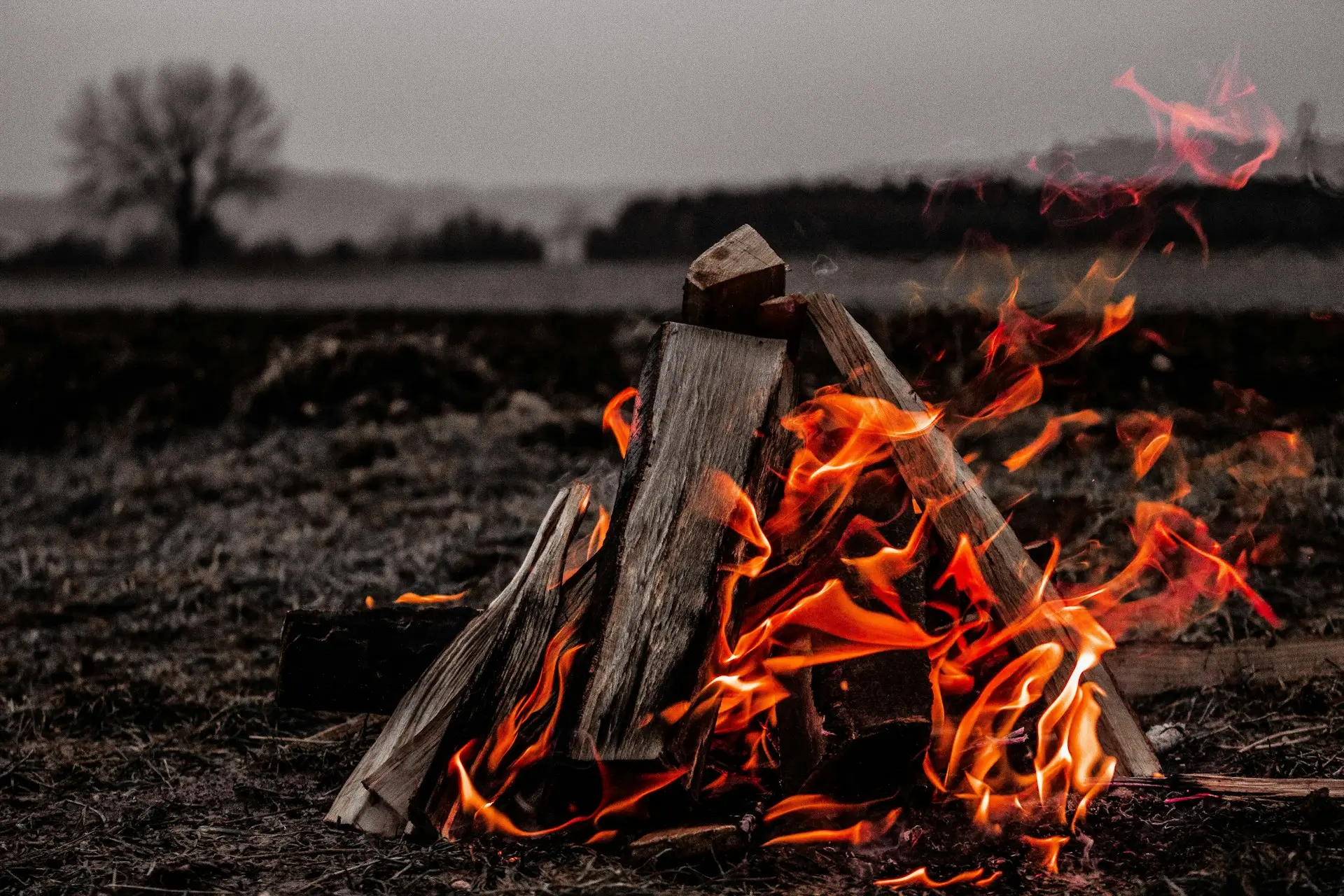 Campfire Cooking Kit